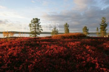 EA197696, Eastpress, Inari, Finland